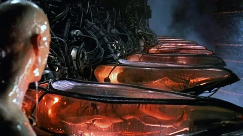 Humans grown in pods as a power source in The Matrix